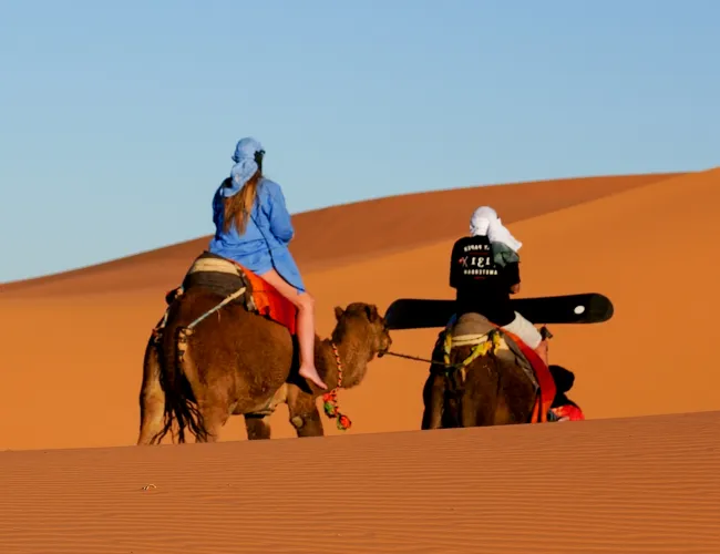 An exhilarating camel ride amidst the golden sand dunes of Sahara Merzouga, Morocco. The serene desert landscape stretches endlessly, with a camel gracefully walking through the sand. The vibrant blue sky above contrasts with the warm hues of the desert, creating a captivating scene of adventure and tranquility.